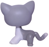 #0138 Shorthair Cat
